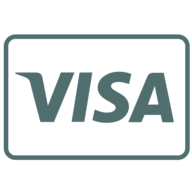 Visa Card Logo