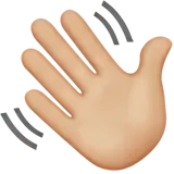 👋🏼